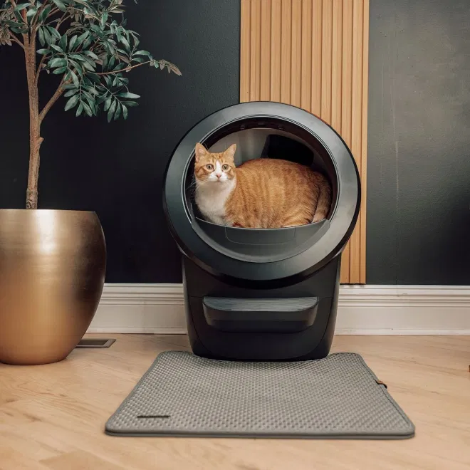 Kissa käyttää whisker litter robot kissanhiekkalaatikkoa